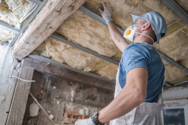 Best Types of Insulation in Marcus, IA